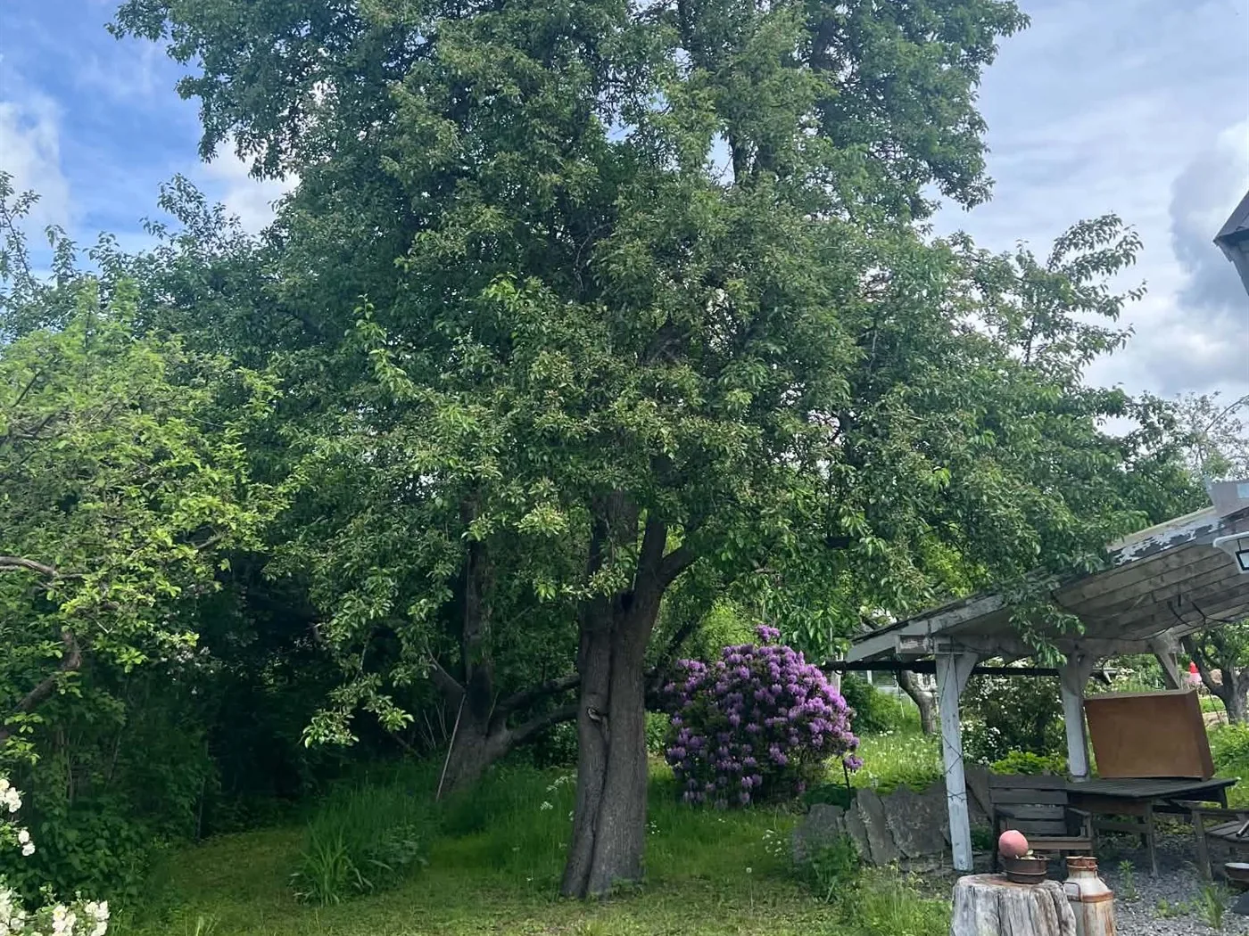 Lummig trädgård vid Järna Bed & Breakfast